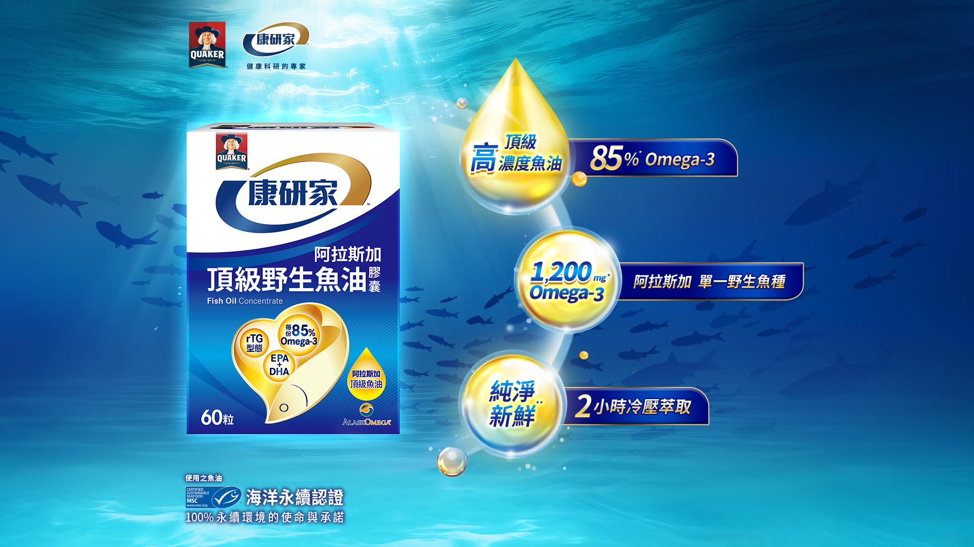 康研家阿拉斯加頂級野生魚油,85%高純度rTG魚油、1200mg高劑量Omega-3(EPA+DHA),2小時冷壓從鮮萃取海洋精華,幫助降血壓、降血脂、降膽固醇,守護全家首選!